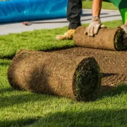 konstgräs eller naturligt gräs